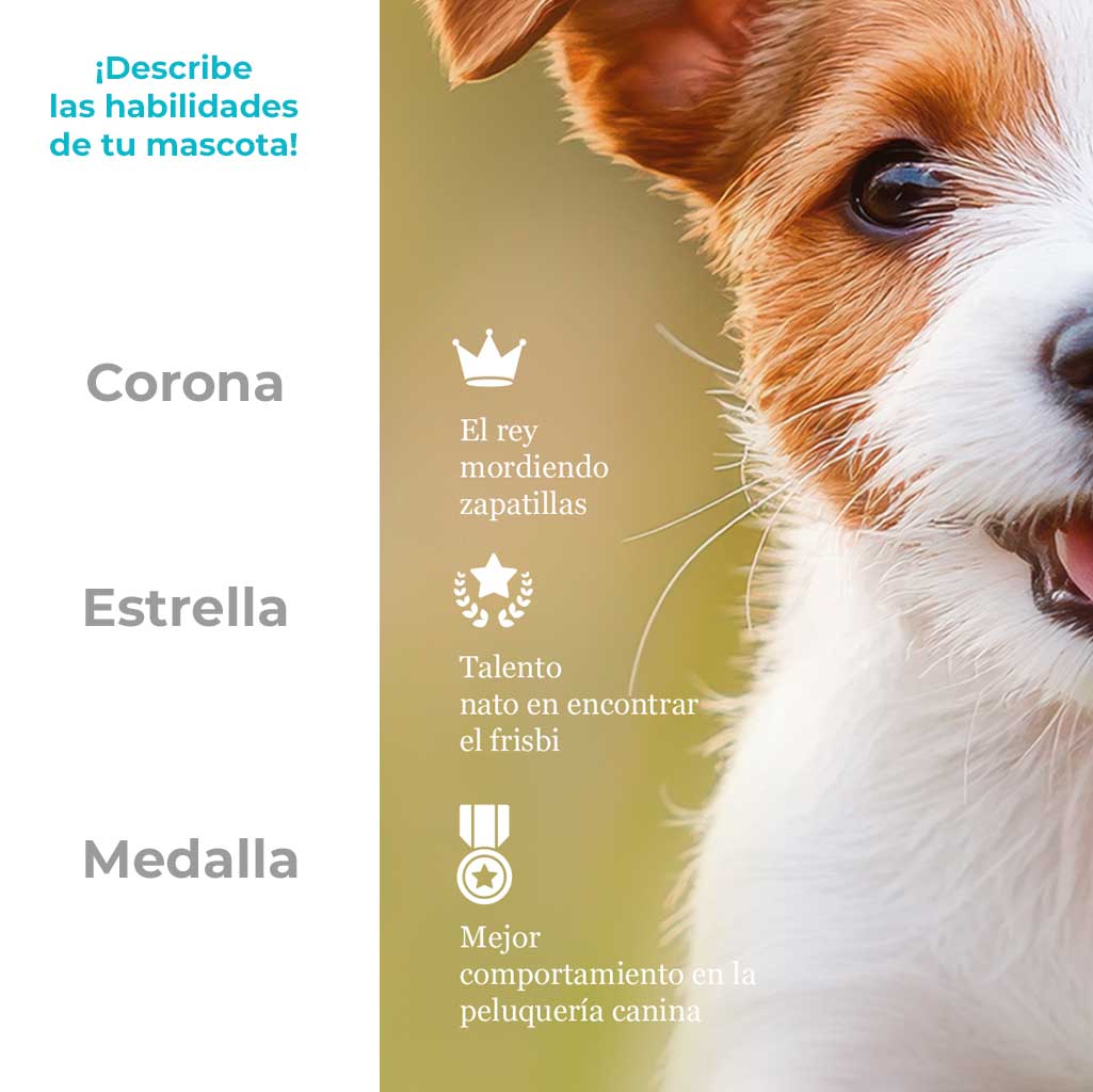 Poster Mascotas