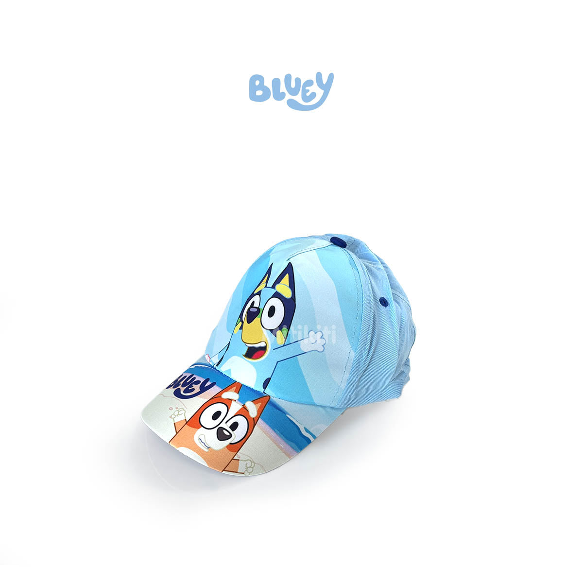 Set de verano Bluey
